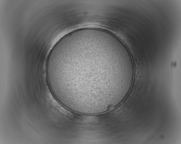 X0000115291382200911161624
