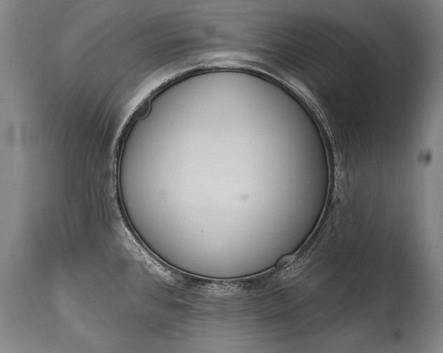 X0000115291384200911161624