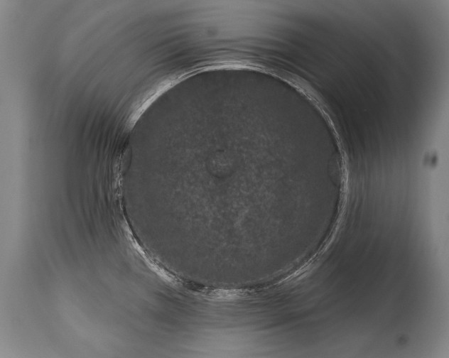 X0000115291385200911161624