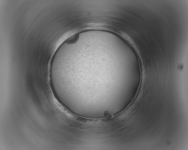 X0000115291386200911161624