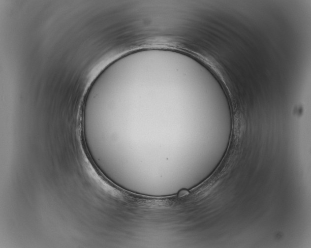X0000115291387200911161624