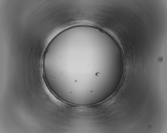 X0000115291391200911161624