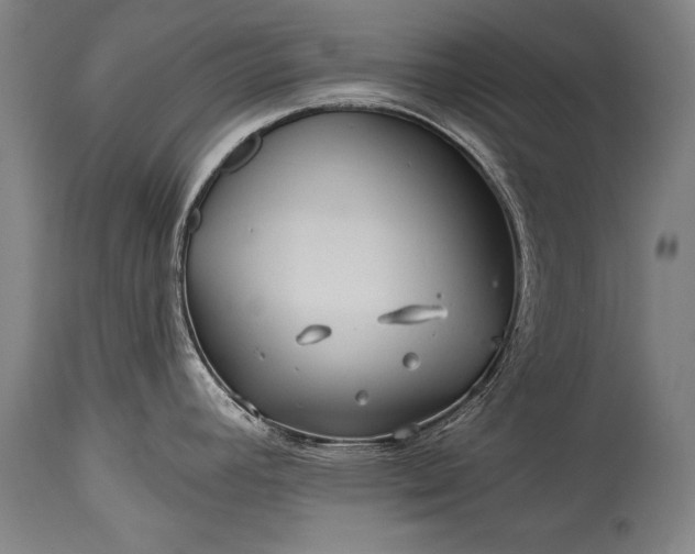 X0000115291392200911161624