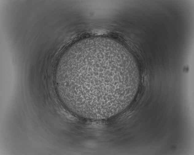 X0000115291393200911161623