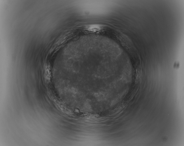X0000115291394200911161623