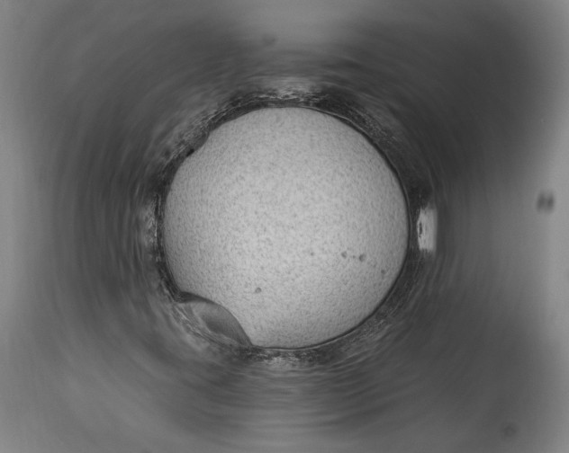 X0000115291395200911161623