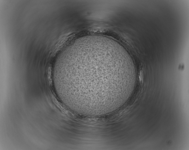 X0000115291396200911161623