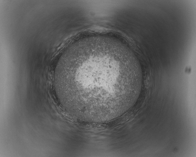 X0000115291397200911161623