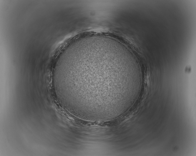 X0000115291398200911161623