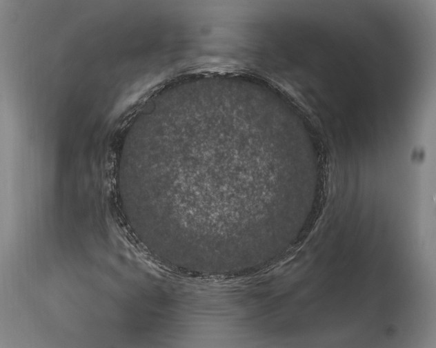 X0000115291399200911161623