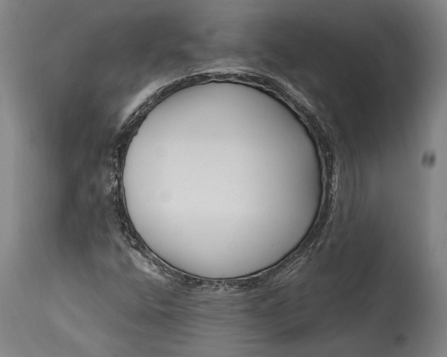 X0000115291400200911161623