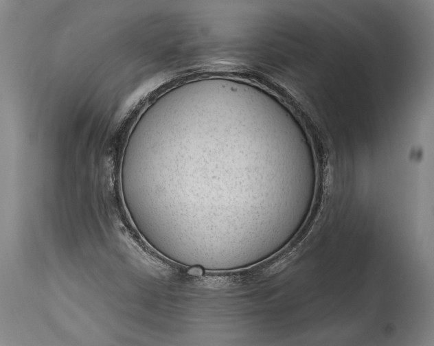 X0000115291402200911161623
