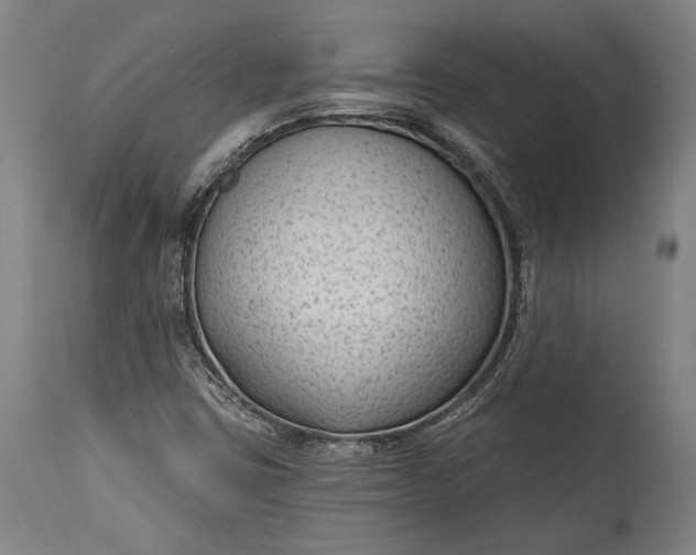 X0000115291403200911161623