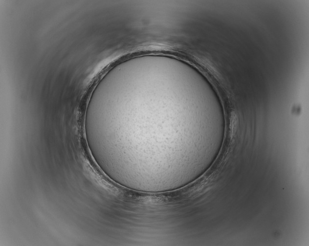 X0000115291404200911161623