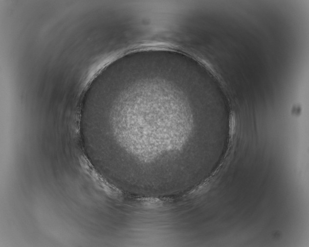 X0000115291405200911161623