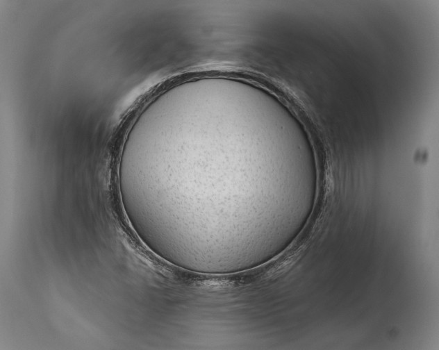 X0000115291406200911161623