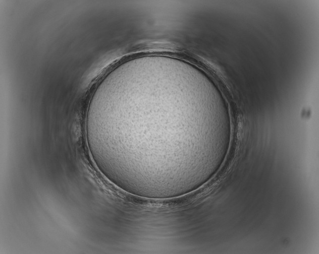 X0000115291407200911161623