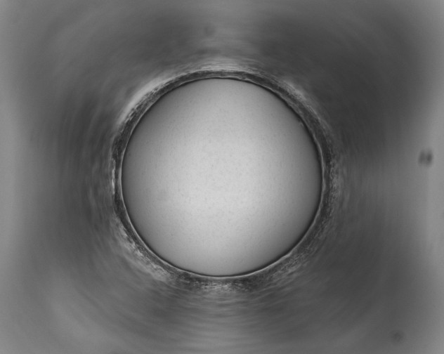 X0000115291408200911161623