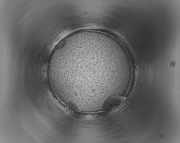 X0000115291409200911161623