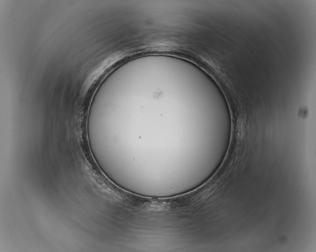 X0000115291410200911161623