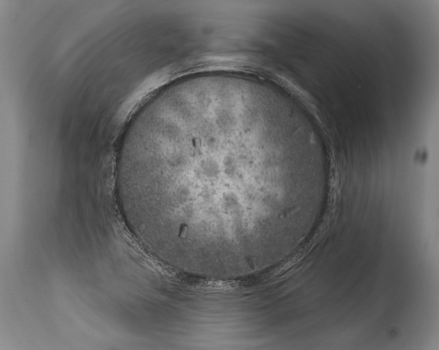 X0000115291411200911161623