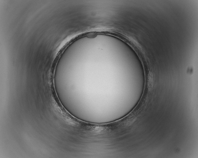 X0000115291412200911161623