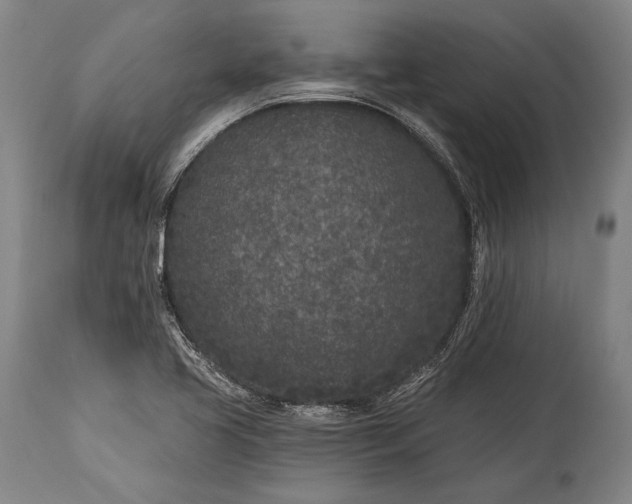 X0000115291413200911161623