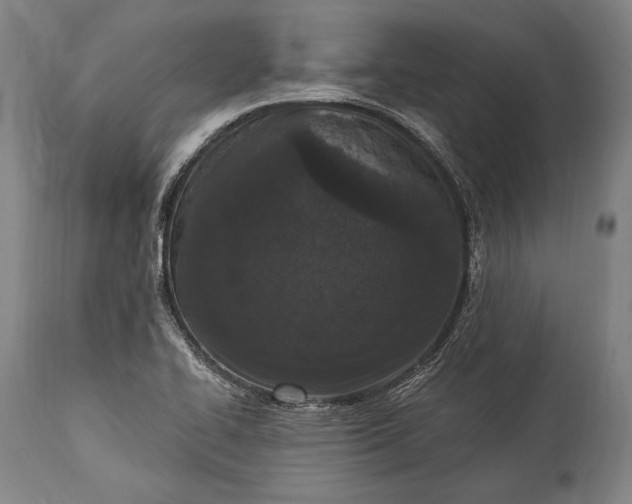 X0000115291414200911161623