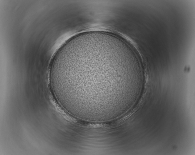 X0000115291415200911161623