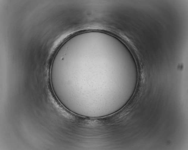X0000115291416200911161623