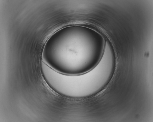 X0000115291417200911161623