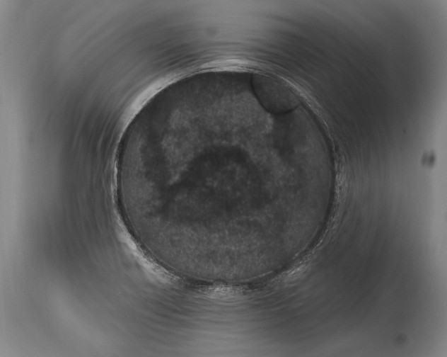 X0000115291418200911161623