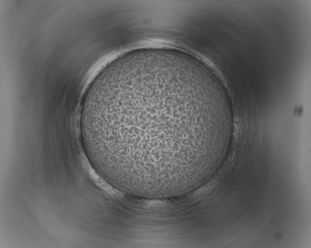 X0000115291421200911161624
