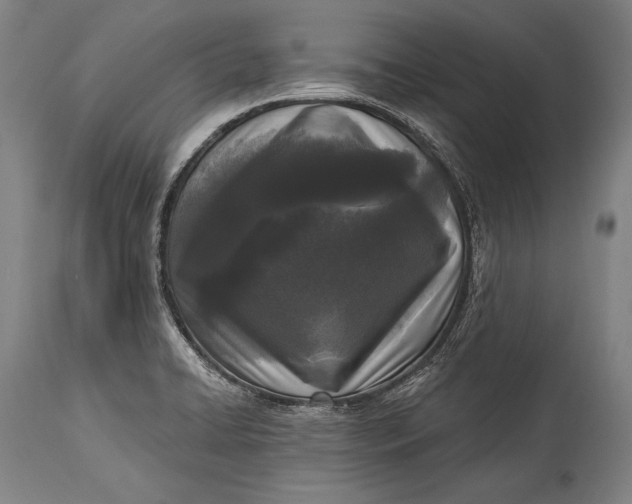 X0000115291422200911161624