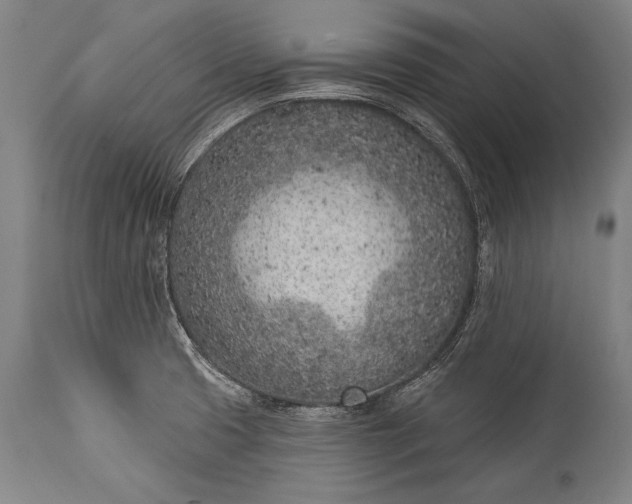 X0000115291425200911161624