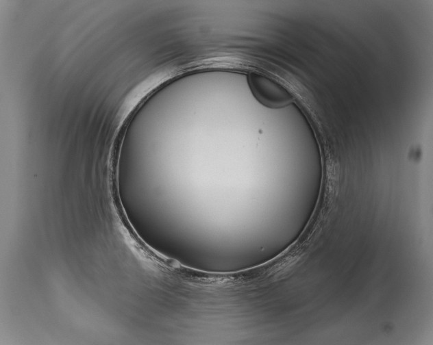 X0000115291426200911161624