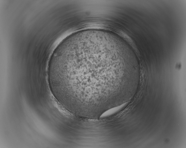 X0000115291427200911161624