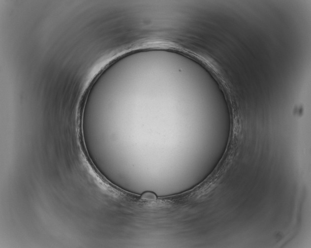 X0000115291430200911161624