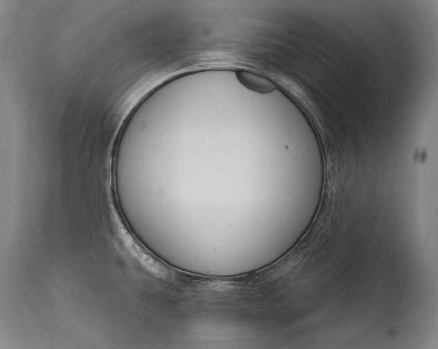 X0000115291431200911161624