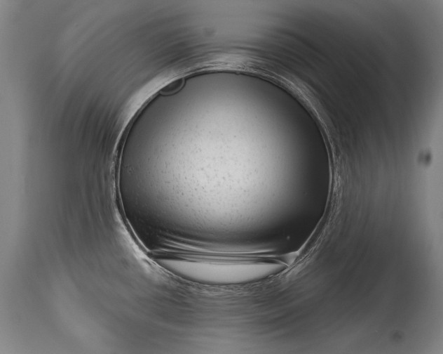 X0000115291434200911161624