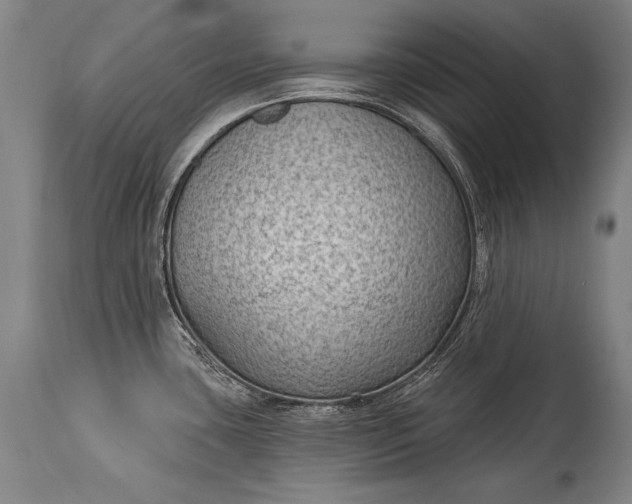 X0000115291435200911161624