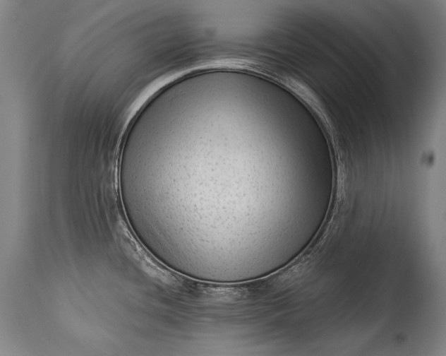 X0000115291436200911161624