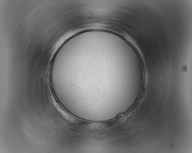 X0000115291437200911161624
