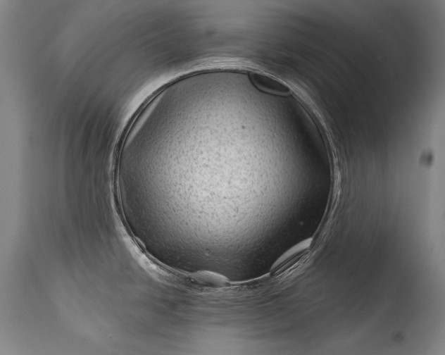 X0000115291438200911161624