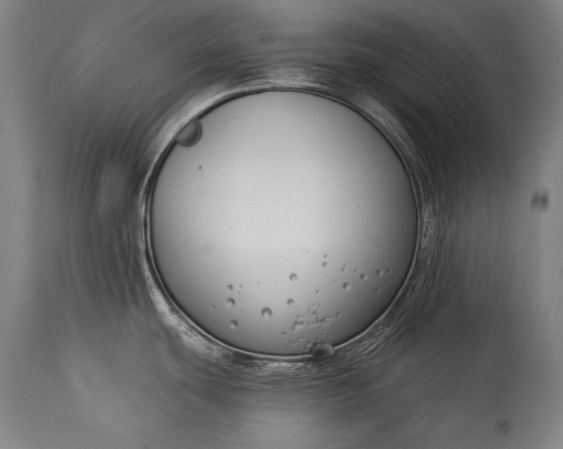 X0000115291439200911161624