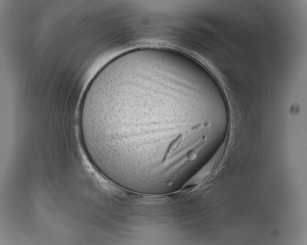 X0000115291440200911161624