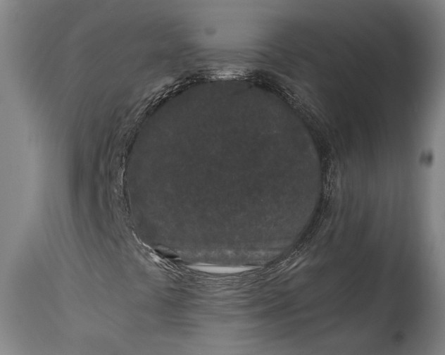 X0000115291441200911161623