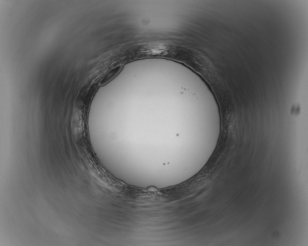 X0000115291442200911161623