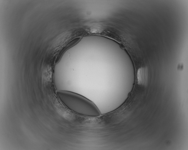X0000115291443200911161623