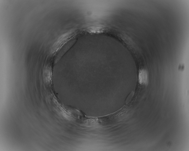 X0000115291444200911161623